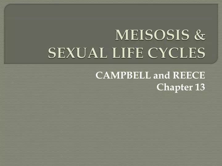 meisosis sexual life cycles
