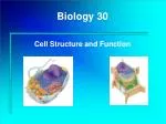 Biology 30