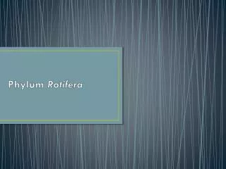 Phylum Rotifera