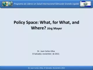 policy space what for what and where j rg mayer