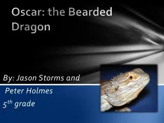 Oscar: the Bearded Dragon