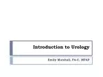 PPT - Urology PowerPoint Presentation, Free Download - ID:1649237