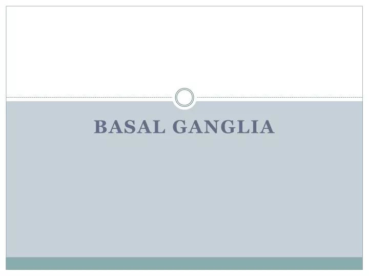 basal ganglia