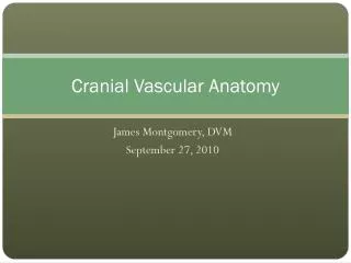 Cranial Vascular Anatomy
