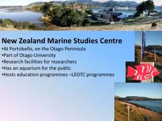 New Zealand Marine Studies Centre At Portobello, on the Otago Peninsula Part of Otago University