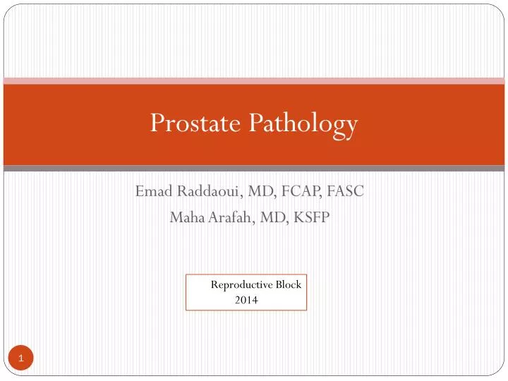 prostate pathology