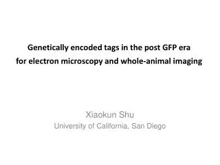Genetically encoded tags in the post GFP era for electron microscopy and whole-animal imaging