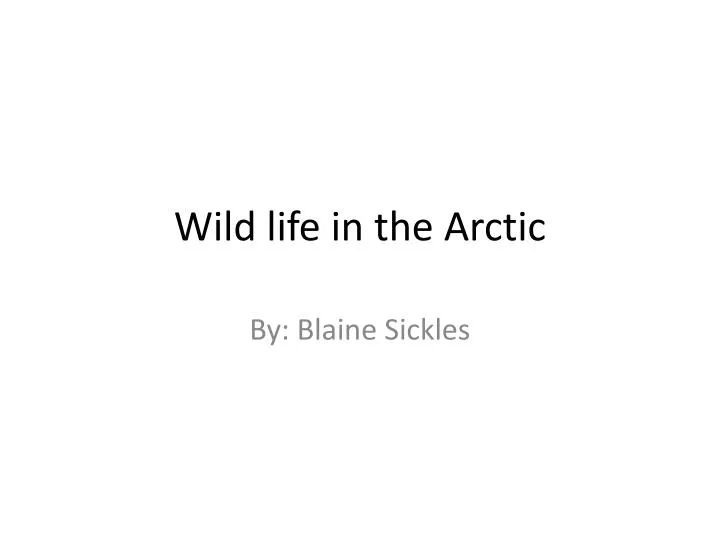 wild life in the arctic