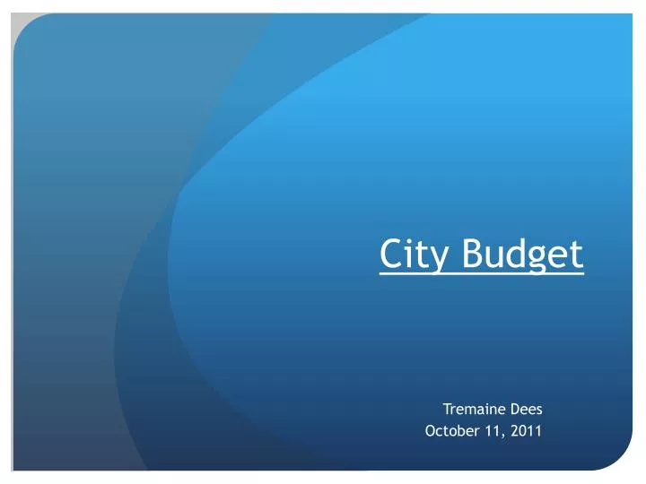 city budget