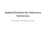Applied Dentistry for Veterinary Technicians - slide 1