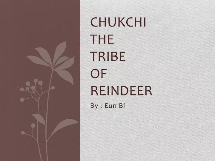 chukchi the tribe of reindeer