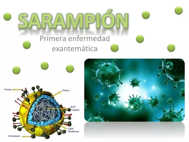 primera enfermedad exantem tica