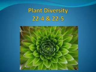 Plant Diversity 22-4 &amp; 22-5