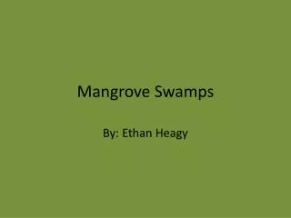 Mangrove Swamps