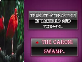 Tourist Attraction In Trinidad and Tobago .