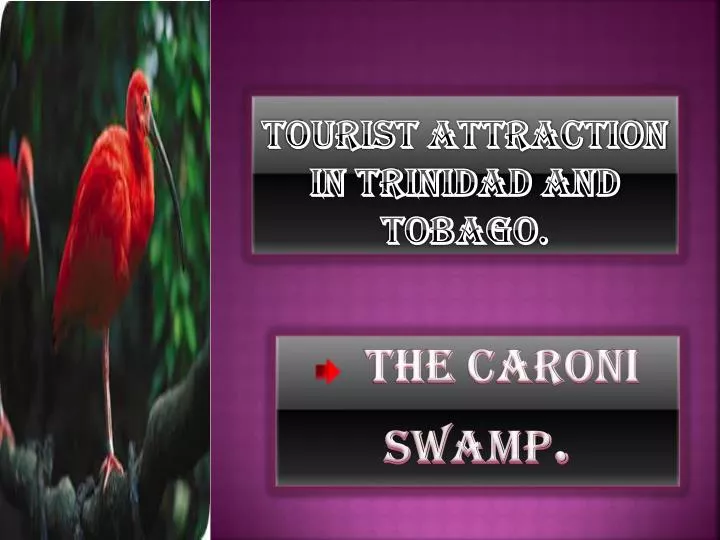 tourist attraction in trinidad and tobago