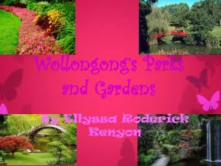 Wollongong’s Parks and Gardens