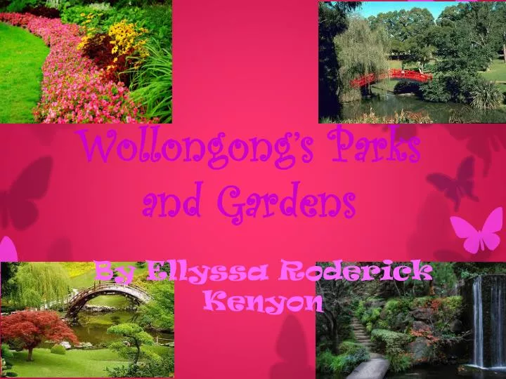wollongong s parks and gardens