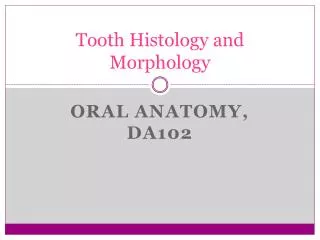 Tooth Histology and Morphology