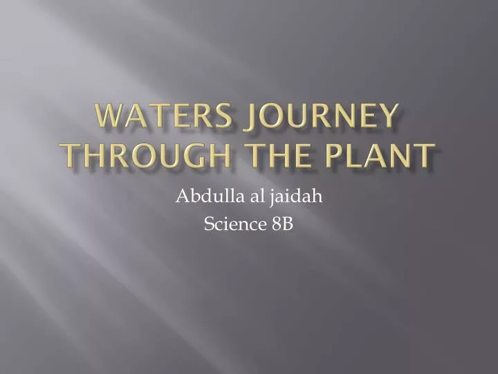 waters journey through the plant