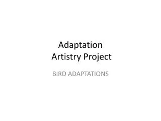 Adaptation Artistry Project