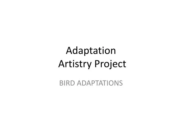 adaptation artistry project