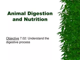 Animal Digestion and Nutrition