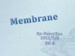 Membrane - slide 1