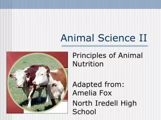 Animal Science II