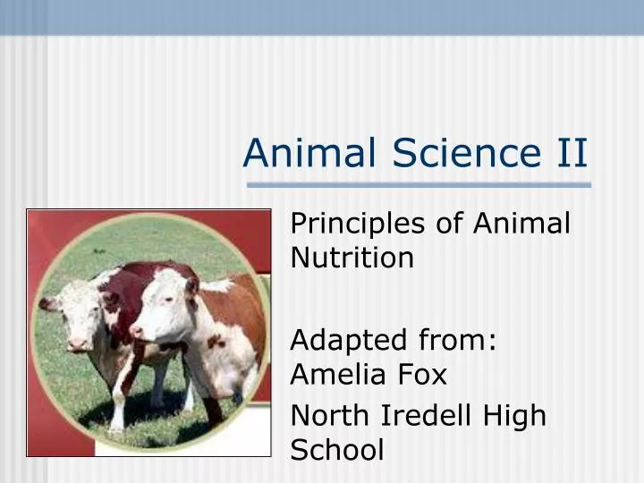animal science ii