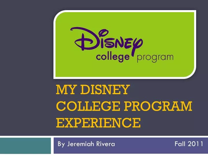 my disney college program experience