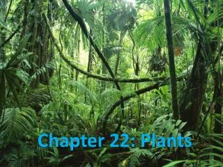 Chapter 22: Plants