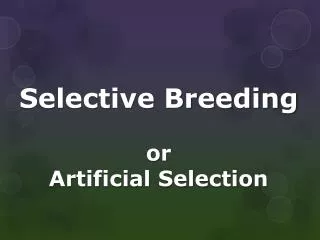 Selective Breeding