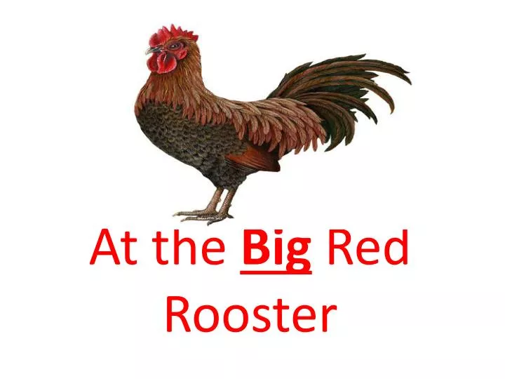 at the big red rooster