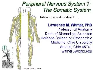 Peripheral Nervous System 1: The Somatic System