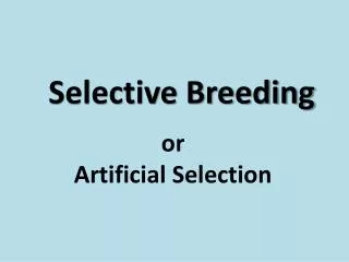 Selective Breeding