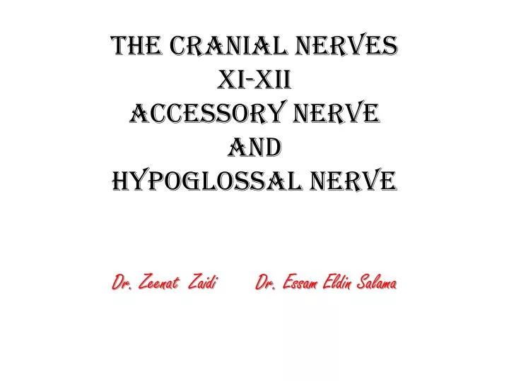 the cranial nerves xi xii accessory nerve and hypoglossal nerve