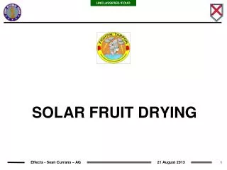 SOLAR FRUIT DRYING