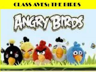 CLASS AVES: THE BIRDS