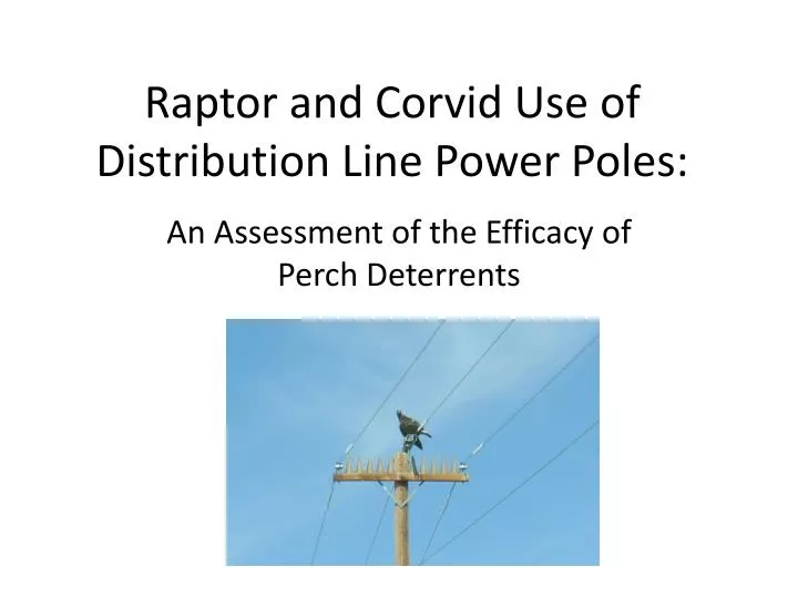 raptor and corvid use of distribution line power poles