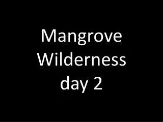 Mangrove Wilderness day 2