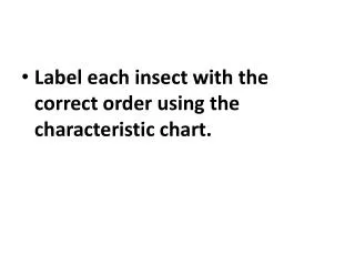 Label each insect with the correct order using the characteristic chart.