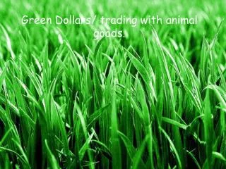 Green Dollars/ trading with animal goods.