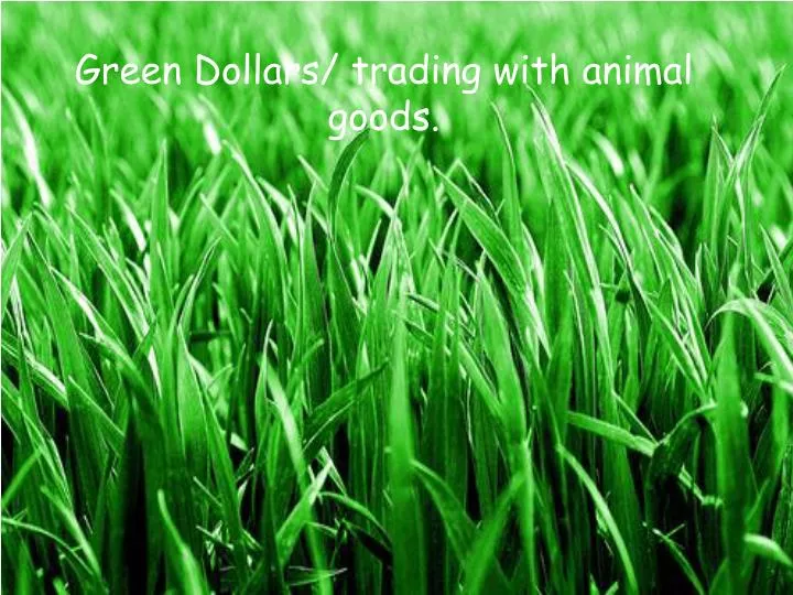 green dollars trading with animal goods