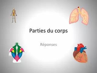parties du corps