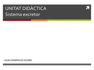 unitat did ctica sistema excretor