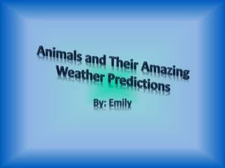 Animals and Their Amazing Weather Predictions