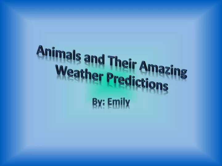 animals and their amazing weather predictions