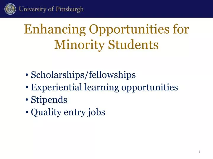 enhancing opportunities for minority students