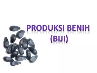 PRODUKSI BENIH (BIJI)